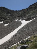 Musale lepoa Respomuso aldeko igoeratik