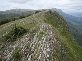 Idoitxiki tontorra ekialdetik