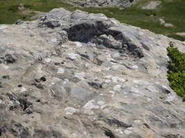 267. mugarria Murlong aldean