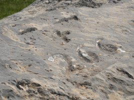 266. mugarria Portillo de Abajo lepoan