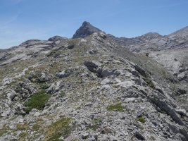 Latras menditik gora jarraituta bada beste muino harritsu bat