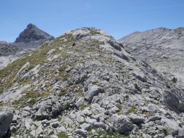 Latras menditik gora, hurrengo tontorra