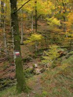 Gr-20aren arrastoan Lizarrusti aldeko hegian