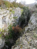 Obiarri gaina ebakitzen duen arrakala