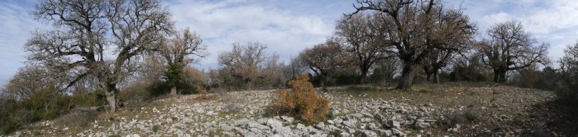 Obiarri gaineko paisaia hegoaldeko ertzaren inguruan