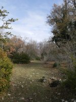 Obiarri utzi eta bidera itzulita