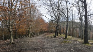 Elordiko iparraldeko bizkarreko pasarte bat