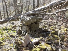 Otro árbol caido al Dólmen (abril 2025)