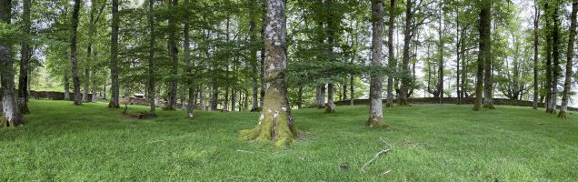 Arlamendiko Mintegia