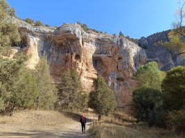 Lobos Ibaiaren Arroila