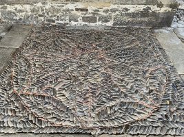 Andra Maria Eliza. Arrankudiaga-Zollo