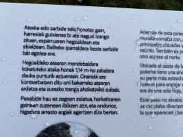 Mendebaldeko Ataka. Iruña Oka (Iruña Veleia)