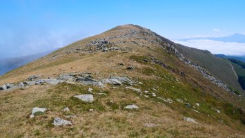 Txangoa, mendebaldeko bizkarrean gora