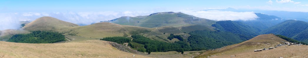 Leizar Atheka eta Urkullu IEan