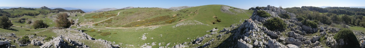 Atxispuru (eskubi aldean) eta panoramika osoa