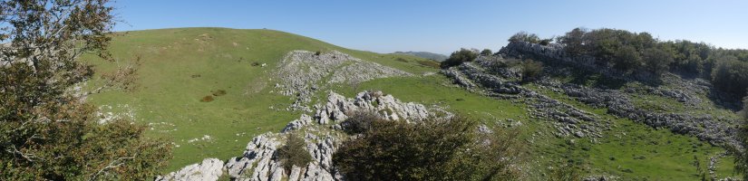 Desaomendi Aizpearro aldetik