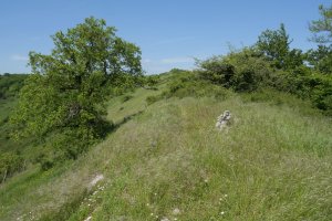 Arizbakar, Arangaitzen ekialdeko bizkarrean