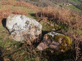 Mendixar trikuharria