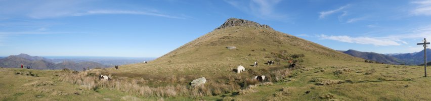 Zuretako lepoa eta Alkurruntz