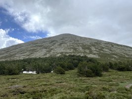 Moncayo