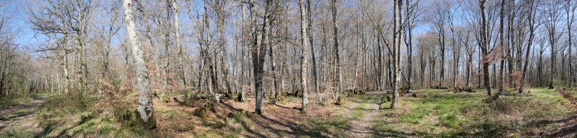 Beuntzako Gaina (mendebaldeko muinoa)