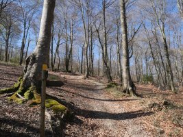 Arraldegañara jotzeko bidegurutzea