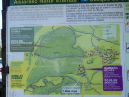 Orgiko basoa, informazio panela