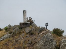 Tontorra