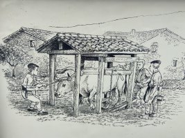 Perratokia. Gaubea (Lalastra)