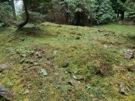 Elgea I Trikuharria