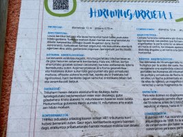 Hirumugarrieta I Tumulua