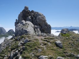 Sobarcal tontorra
