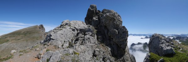 Sobarcal tontorra