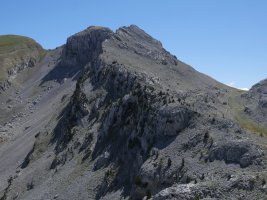 Anzotiello Mallo Pacotik