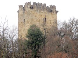 Salazar dorretxea, Nograro-Gaubea