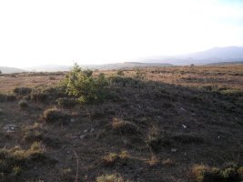 ladrera