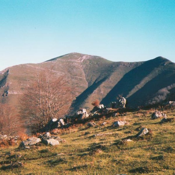 Mendebaldeko isurialdea