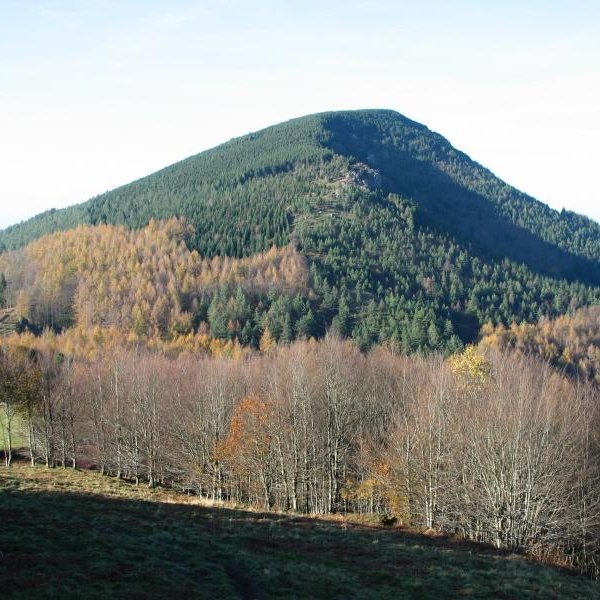 Larre aldetik ikusita