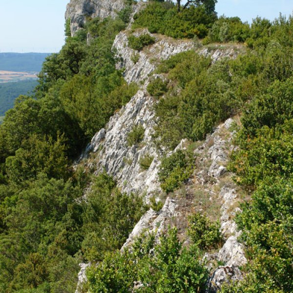 Tontorraren inguruko amildegiak