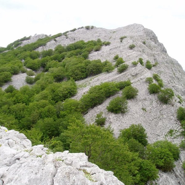 Kutxaketik ikusita, hego-mendebaldetik