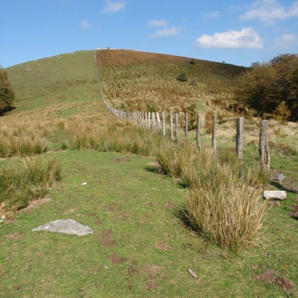 Tontorra hegoaldetik