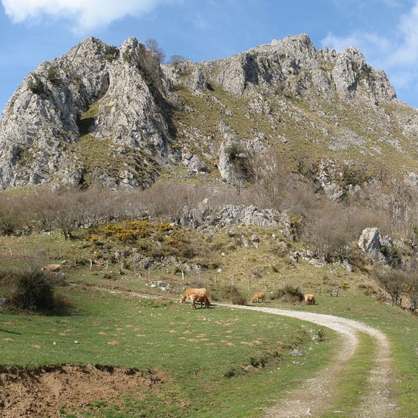 Azkarate aldeko bidetik