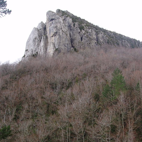 Aritzgaña (1246m)