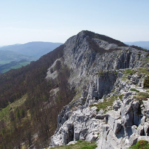 Arrondoa haitza (1401m)