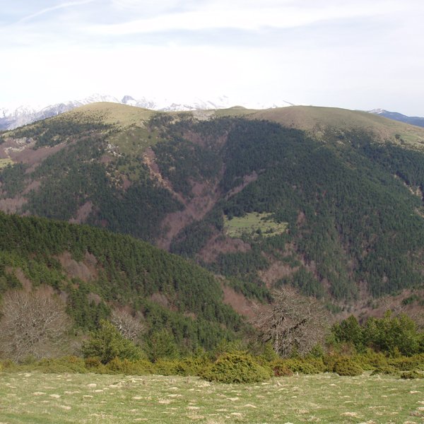 Kakueta eta Binies arroila Txorrotxarriatik