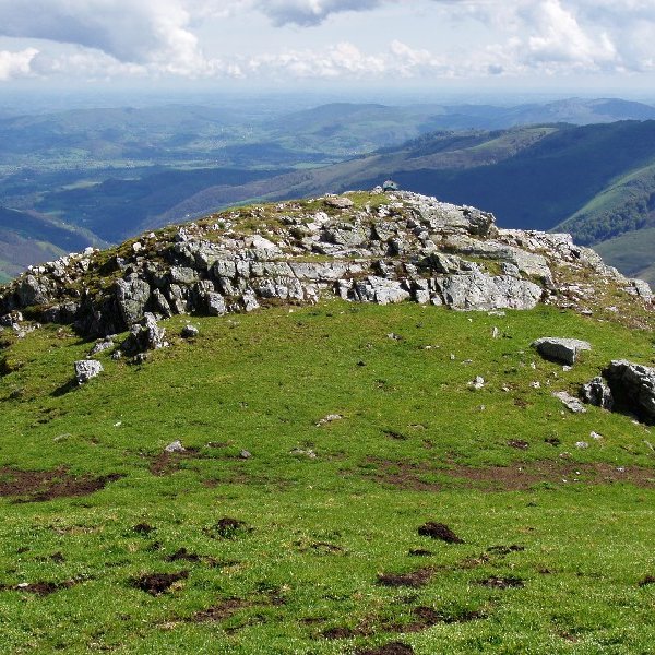 Laurinagako gailurra