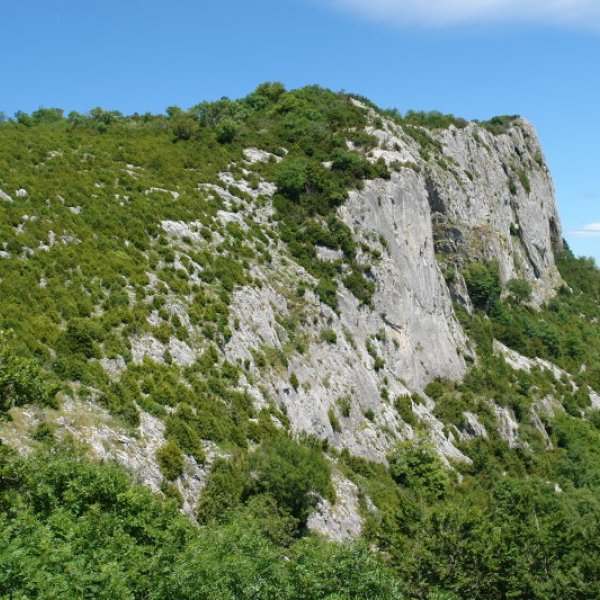 Aintzioako hormak Larrogain aldeko lepotik