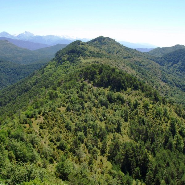 Argaraieta Kukulako gailurretik