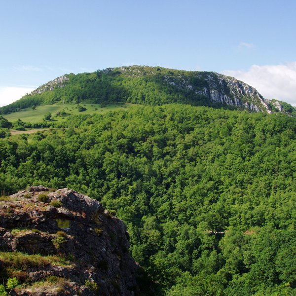 Erodoa Aritztokiko behatokitik ikusita