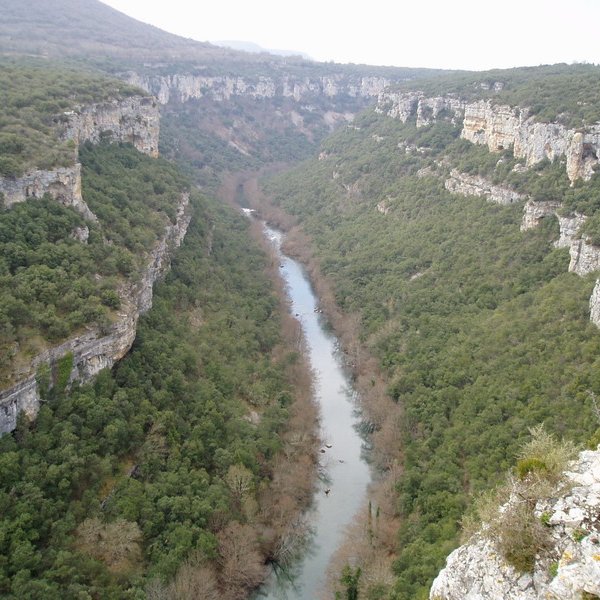 Errepideko behatokitik ikusita